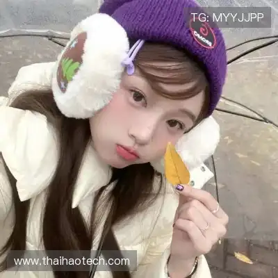 何鹰辉